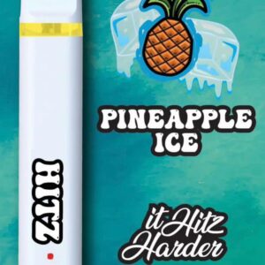 hitz disposable 2 gram​