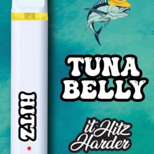 hitz disposable flavors